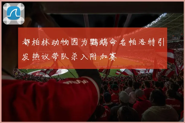 都柏林动物园为鹦鹉命名帕洛特引发热议带队杀入附加赛