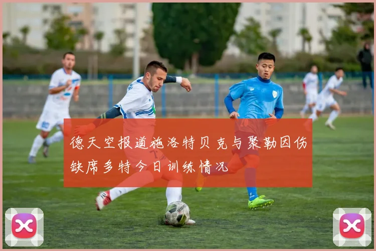 德天空报道施洛特贝克与聚勒因伤缺席多特今日训练情况