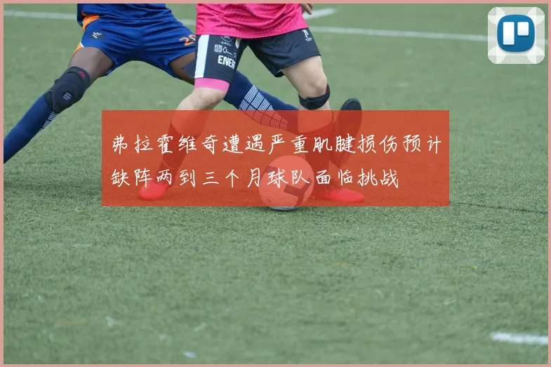 弗拉霍维奇遭遇严重肌腱损伤预计缺阵两到三个月球队面临挑战